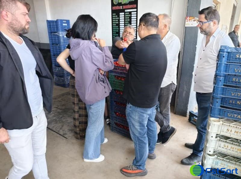 Turkish agricultural market.jpg Turkish agricultural market.jpg